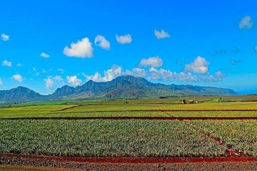 From Waikiki: Oahu Grand Circle Island Experience - Your day on the road: what the timing feels like