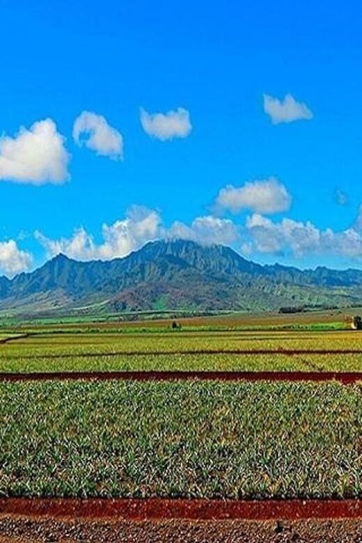 From Waikiki: Oahu Grand Circle Island Experience - Makapuu and Waimanalo: viewpoints and breathing room