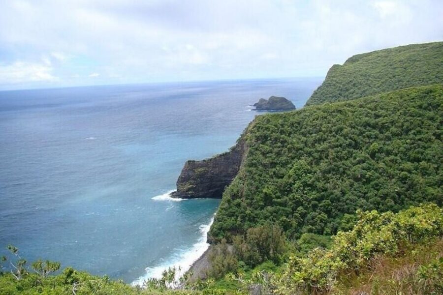 From Waikiki: Oahu Grand Circle Island Experience - Laniakea Turtle Beach: why the wildlife stop is the day’s emotional high point