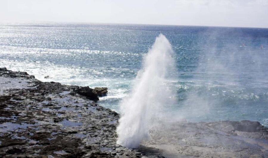 From Waikiki: Oahu Scenic Half-Day Circle Island Tour - Getting picked up in Waikiki without losing your whole morning