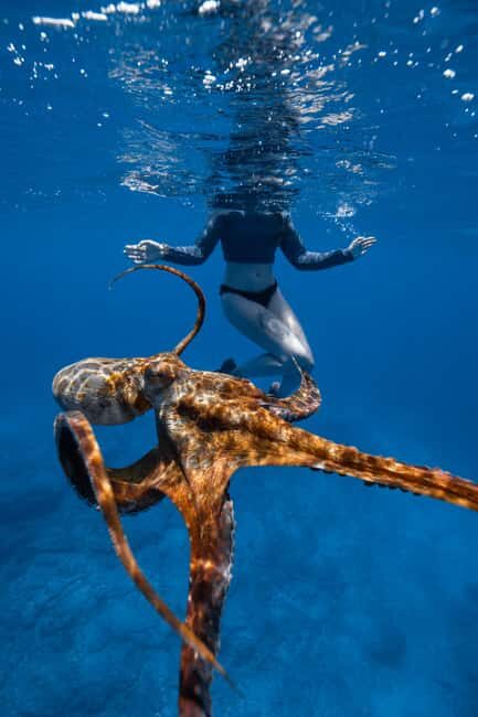 From Waikiki: Turtle Canyon Snorkeling Tour - The 90-minute flow: what happens when