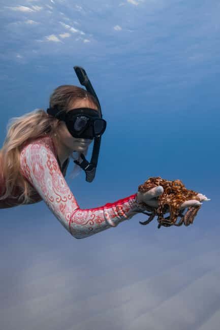 From Waikiki: Turtle Canyon Snorkeling Tour - Who this tour fits best (and who should skip it)
