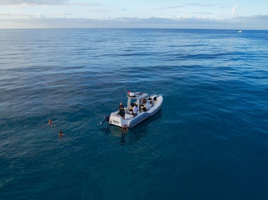 From Waikiki: Turtle Canyon Snorkeling Tour - Practical tips before you go