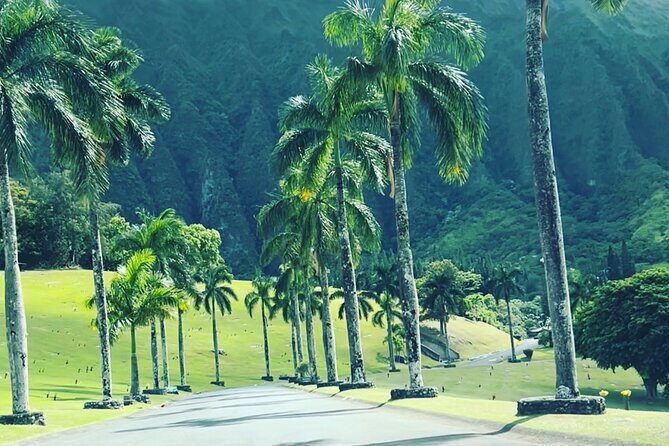 Full-Day Circle Island Guided Tour of Oahu - A scenic real-estate view, then local shopping breaks