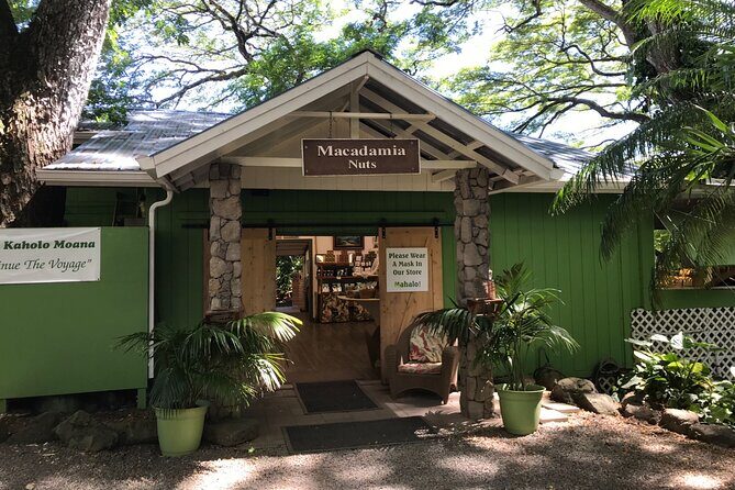 Full-Day Circle Island Guided Tour of Oahu - Big-wave viewpoints and classic Haleiwa energy