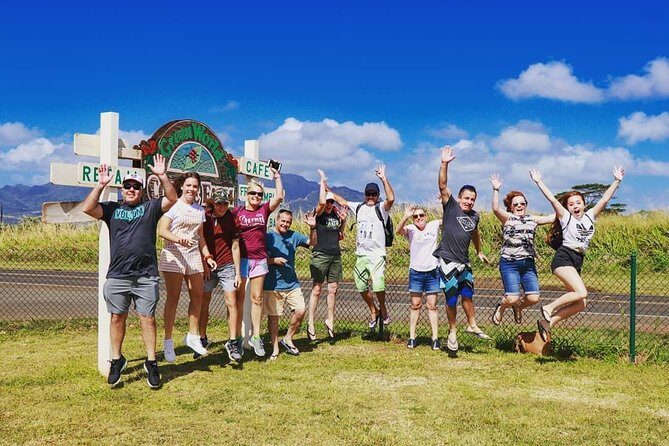 Full-Day Guided Private Tour - Dole Plantation: Pineapple Samples and Dole Whip Energy
