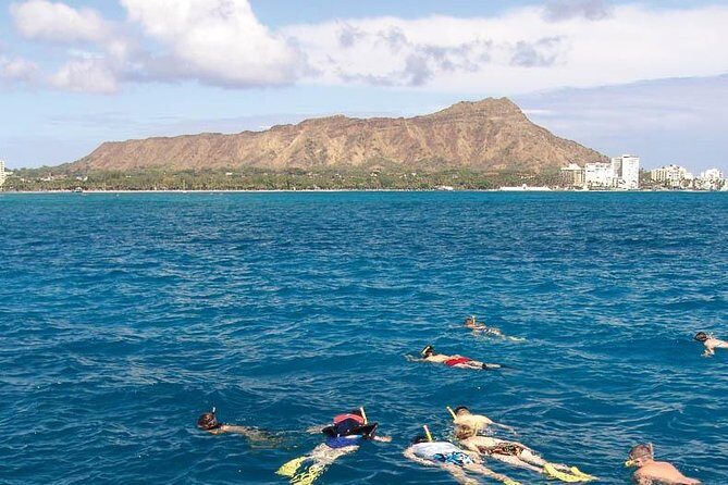Full Day Oahu Bike, Hike, Sail and Snorkel Combo - The Rainforest Hike: 2 Miles, 1.5 Hours, and Real Local Context