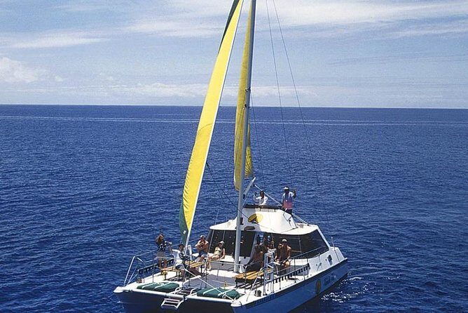 Full Day Oahu Bike, Hike, Sail and Snorkel Combo - Snorkeling the Pacific Reef: What You’re Really Signing Up For