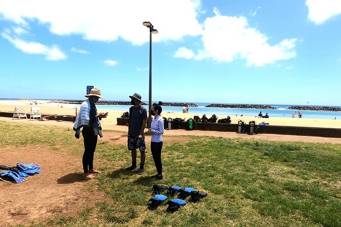 Guided Snorkel Tour for Beginners in Honolulu - The 90 Minutes: What You Do From Start to Finish