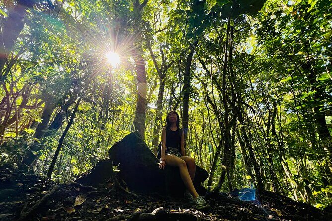 Half-Day Waterfall Tour - Hike, Scenic, Food and Photo - The 4.5-hour flow: pickup, hike, waterfalls, and Tantalus views