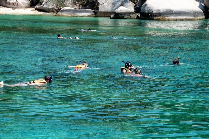 Hanauma Bay Snorkel - The reef you’re there for: sea turtles, parrotfish, and Hawaii’s state fish