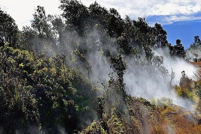 Hawaii Volcanoes National Park Experience Departing from Oahu - Greenwell Farms in the Kona district: coffee with volcano roots