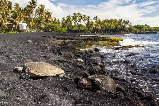 Hawaii Volcanoes National Park Experience From the Big Island - Key things to know before you go