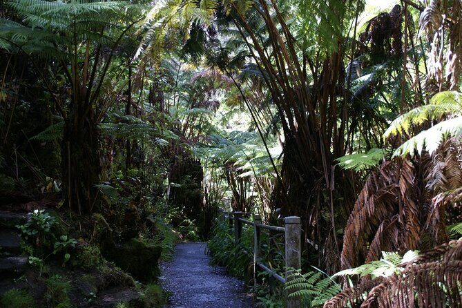 Hawaii Volcanoes National Park Experience From the Big Island - Price and Value: What $139 Covers (and Why It Matters)