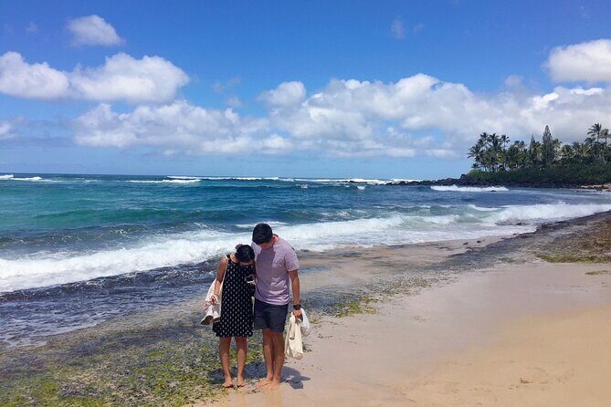 Hawaii's Best Private Build-Your-Tour Charter Service - How this private Oahu charter actually works
