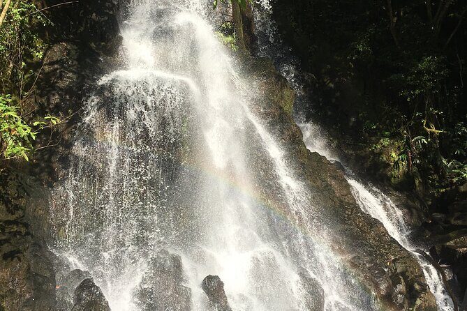 Hidden Hawaii Tours - Should You Book Hidden Hawaii Tours for Lulumahu, Pali, and Lanikai?