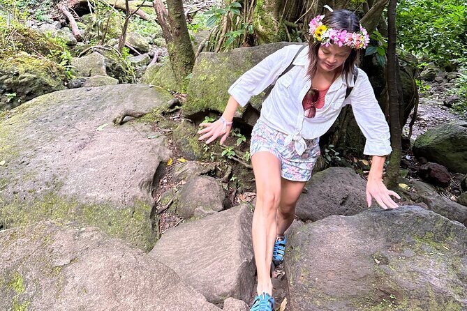 Hike to a Tropical Waterfall - pick up included - Group size, fitness level, and who this fits best