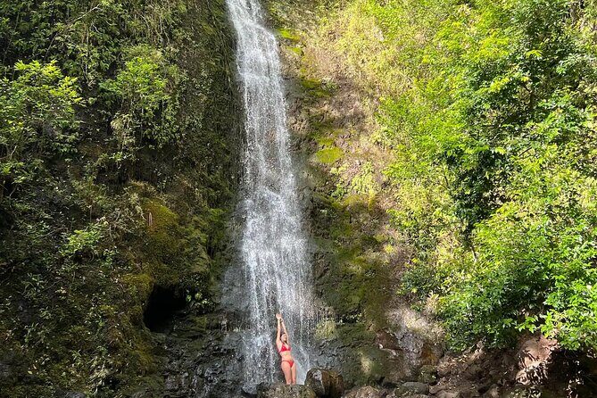 Hike to a Tropical Waterfall - pick up included - The trail: mostly nature, sometimes water crossings