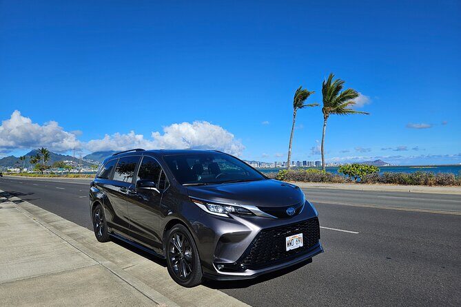 Honolulu Airport, Cruise Port and Hotels Private Transfer - Airport timing: 60 minutes of waiting after your flight lands