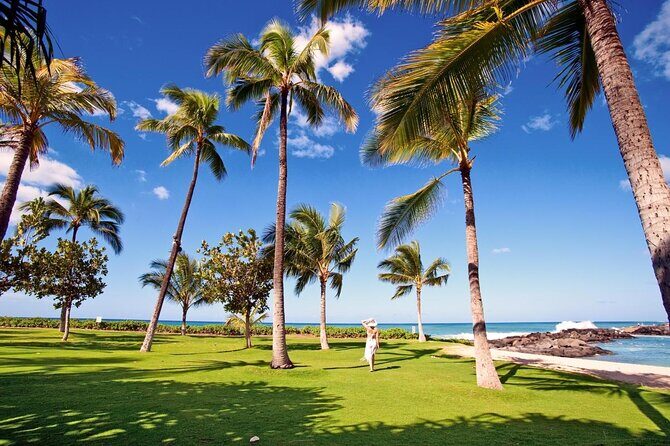 Honolulu Airport & Ko Olina Hotels Private Transfer by Minivan (up to 5 people) - Key Things to Know Before You Go