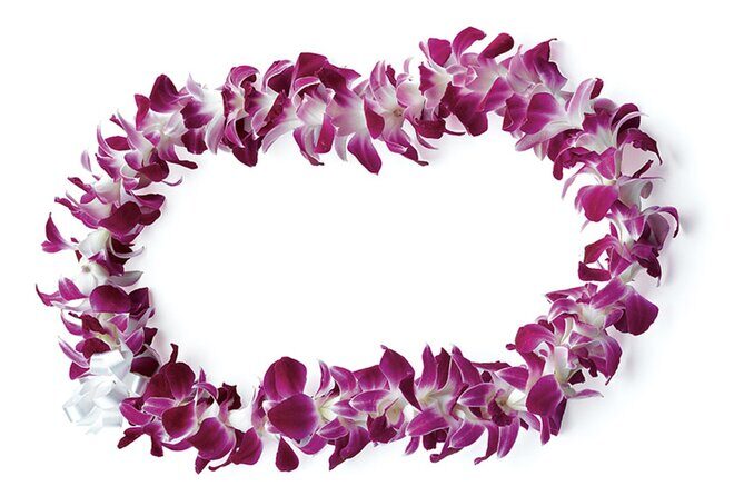 Honolulu Airport: Waikiki Private Transfer With Lei Greeting - Honolulu Baggage Claim: The Part That Usually Wastes Your Time