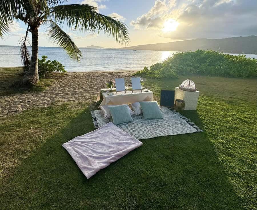 Honolulu: Beachside Luxury Picnic & Paint - Painting the ocean view without prior experience