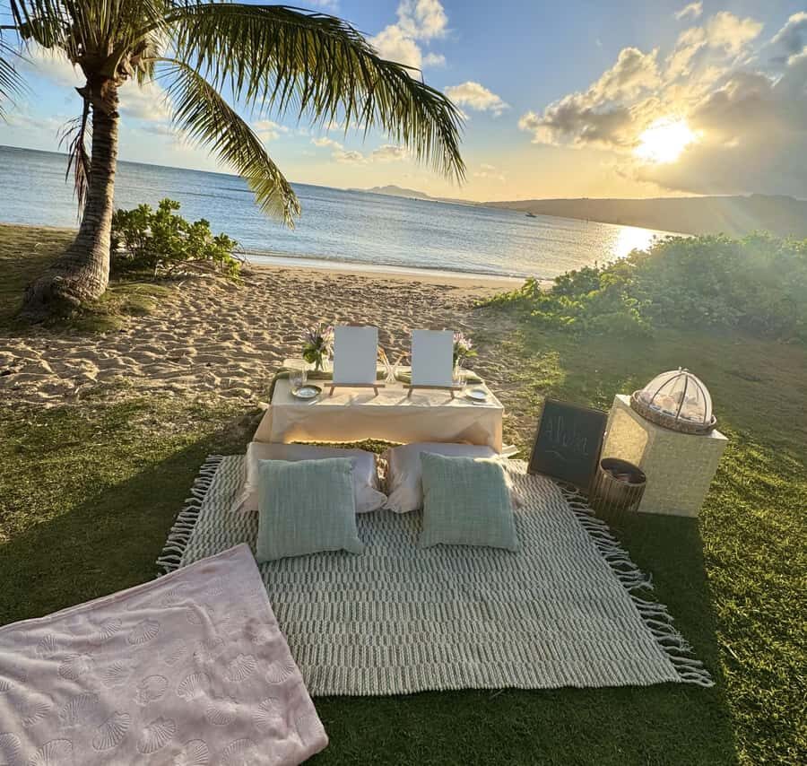 Honolulu: Beachside Luxury Picnic & Paint - Should you book this Honolulu Beachside Luxury Picnic & Paint?