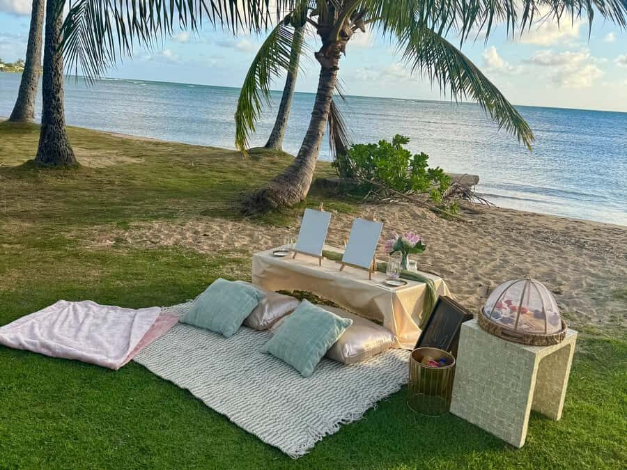 Honolulu: Beachside Luxury Picnic & Paint - Meeting your host and getting your canvas ready (blank or pre-drawn)