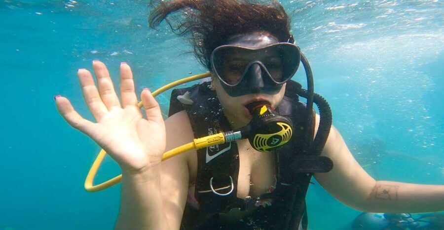 Honolulu: Beginner Scuba Diving Tour With Free Videos - Your about-20-minutes underwater: what you might see in the lagoon