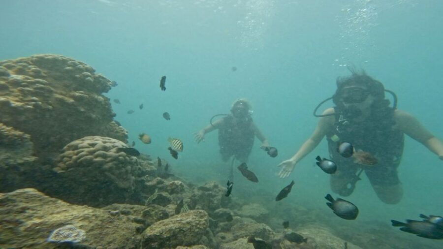 Honolulu: Beginner Scuba Diving Tour With Free Videos - Rain or shine: how weather changes your comfort level (but not the plan)