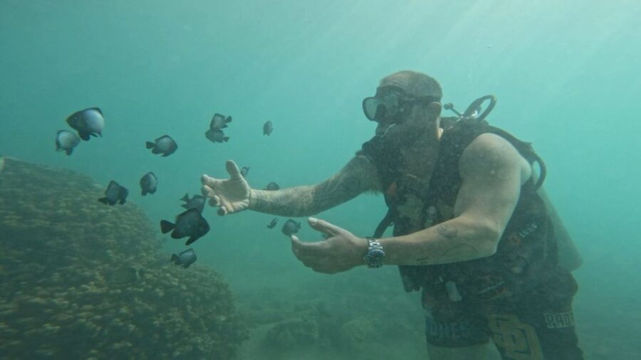 Honolulu: Beginner Scuba Diving Tour With Free Videos - Who should book, and who should skip this one?
