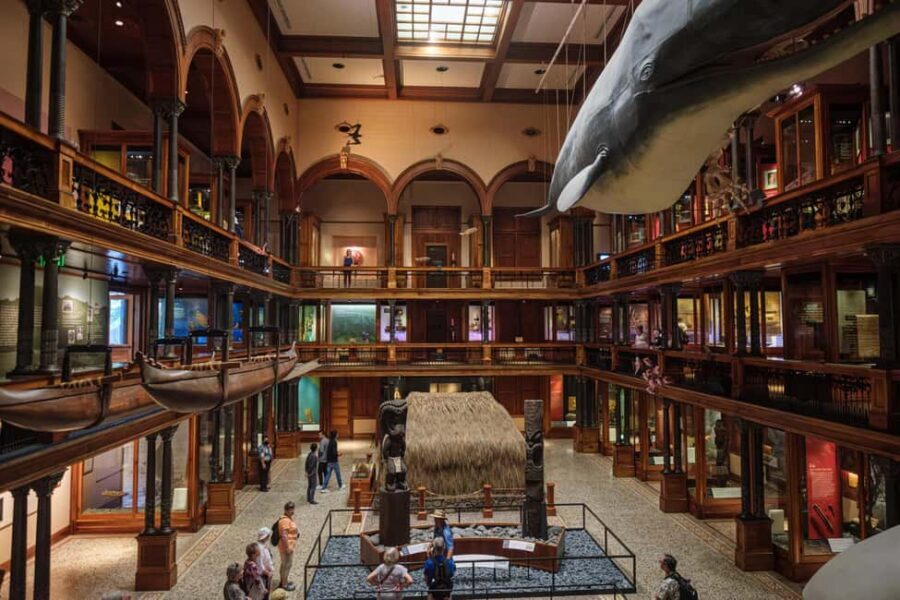 Honolulu: Bishop Museum General Admission Ticket - Key highlights worth aiming for