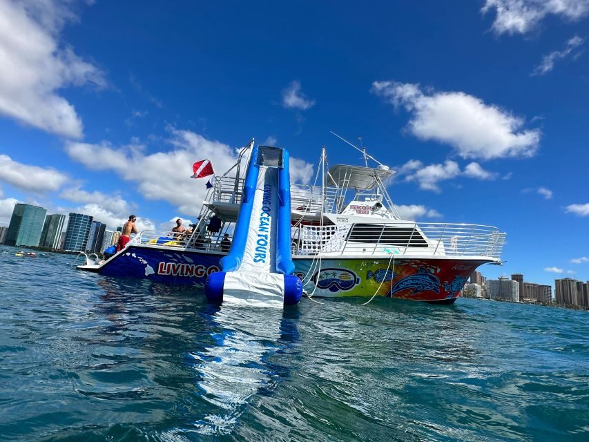 Honolulu: Deluxe Waikiki Snorkel and Wildlife Cruise - Kewalo Basin to Diamond Head: your wildlife watch cruise