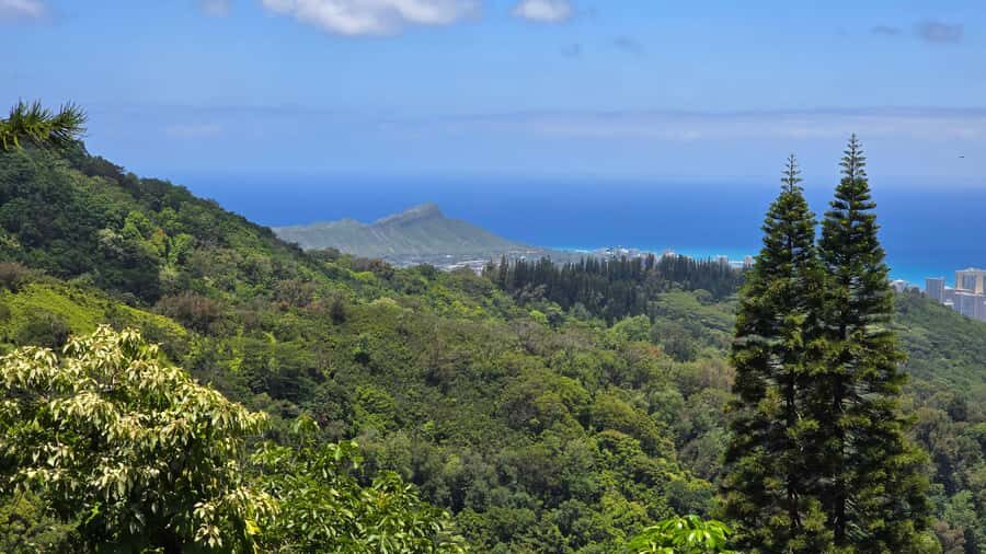 Honolulu: Hawaiian Volcanic Rainforest Hike - Price and Value: Is $90 Worth It on O‘ahu?