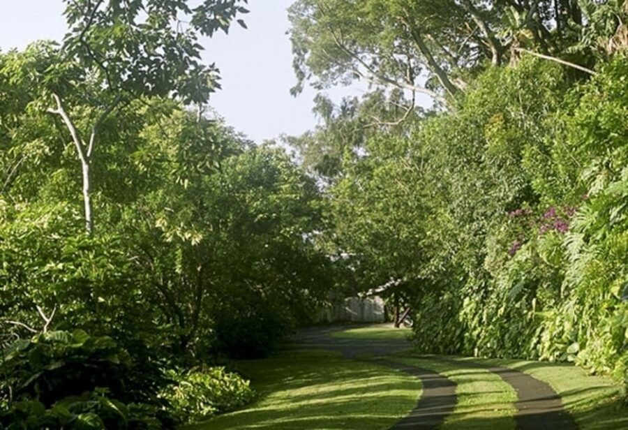 Honolulu: Liljestrand House Architectural Tour - Practical stuff you’ll want to plan for
