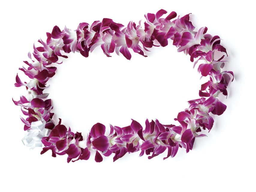 Honolulu: Private Airport Transfer with Arrival Lei Greeting - Key Things to Know Before You Go