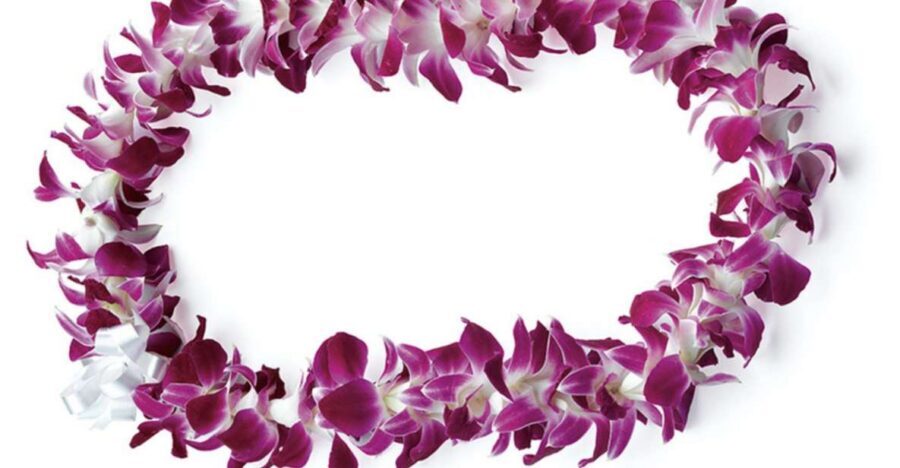 Honolulu: Private Airport Transfer with Arrival Lei Greeting - From Airport Chaos to Waikiki Calm