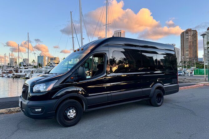 Honolulu Private Transfer: Airport, Port, Hotel (1-12 Passengers) - Key things to know before you go