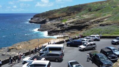Honolulu: Stunning Views of Oahu! Half-day Scenic Tour - Hotel pickup, small-group vibe, and how the guides shape the day
