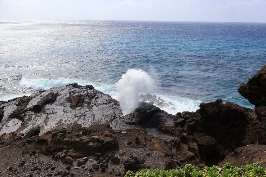 Honolulu: Stunning Views of Oahu! Half-day Scenic Tour - The extra treat stop: Leonard’s Bakery hot malasadas