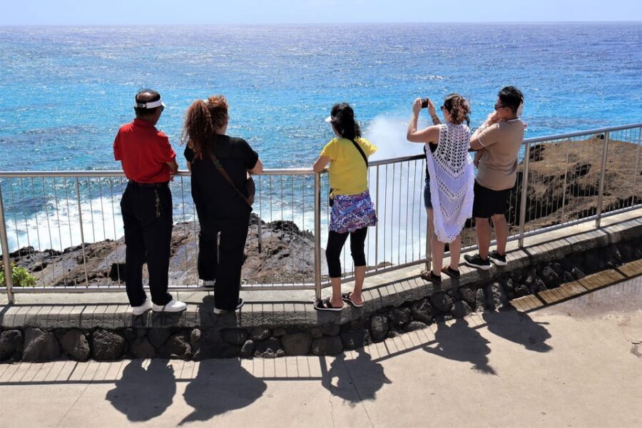 Honolulu: Stunning Views of Oahu! Half-day Scenic Tour - Price and value: what you get for $75 per person