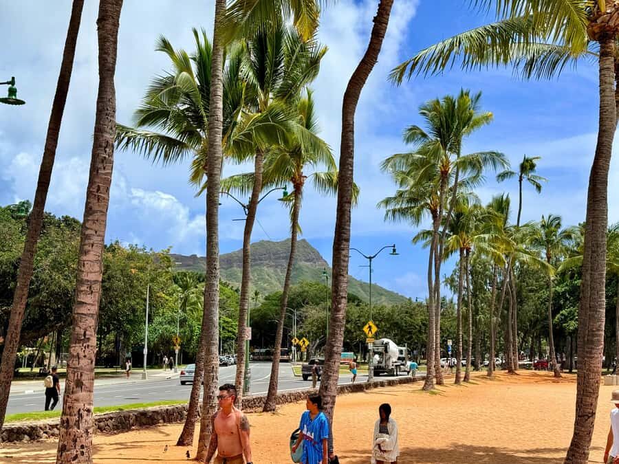 Honolulu: Waikiki Food Tour with Local Guide - Poke Bowls: Fresh, Locally Caught Fish Seasoned Right