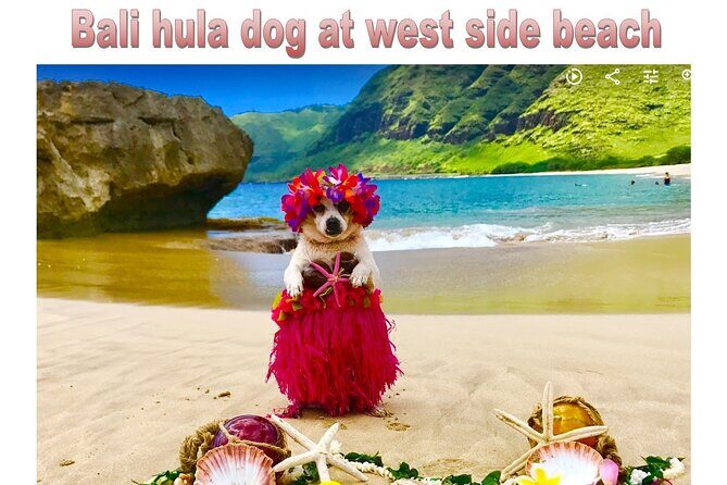 Incredible west side hidden gems -PLEASE CONTACT BEFORE BOOKING - Who this tour suits best