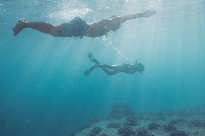Kayak, Snorkel, and Surf with Turtles in Honolulu - Shipwreck Remnants Snorkel: Another Chance at Fish