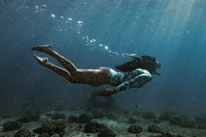 Kayak, Snorkel, and Surf with Turtles in Honolulu - Pickup, Snacks, and Gear: What’s Included (and What You’ll Still Plan For)