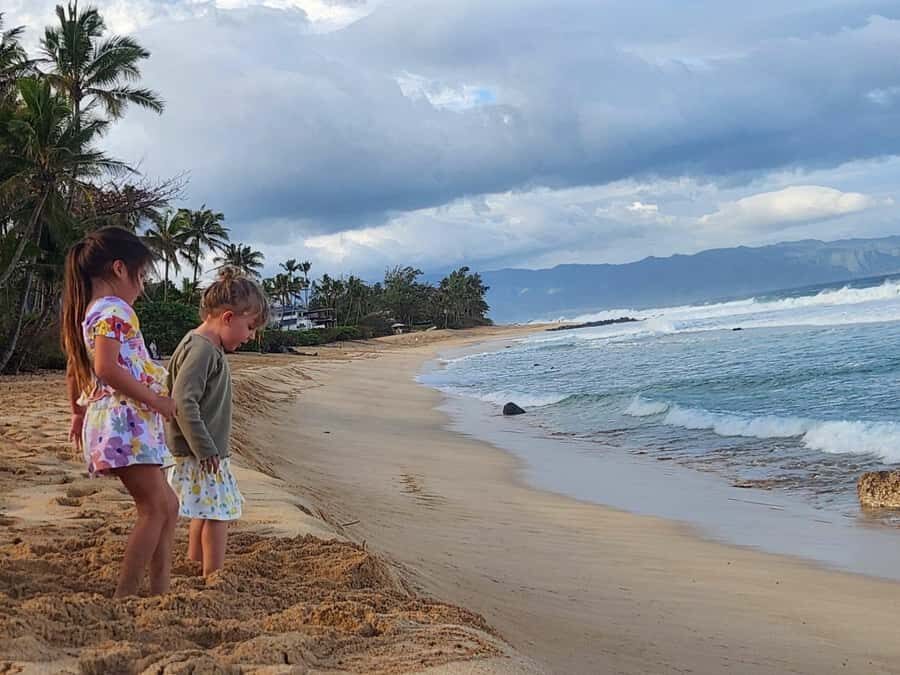 Kevo's Beach Bus - Key highlights at a glance