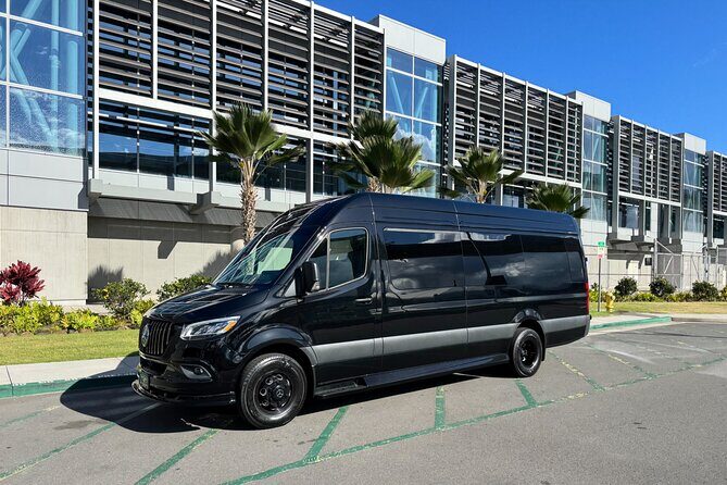 Luxury Sprinter Transfer Airport, Waikiki and Cruise Terminal - Wait-time rules that protect your schedule