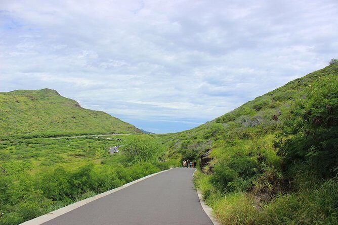 Makapu’u Lighthouse Trail and Shuttle Service - Whale spotting on Oahu’s windward side: November to April
