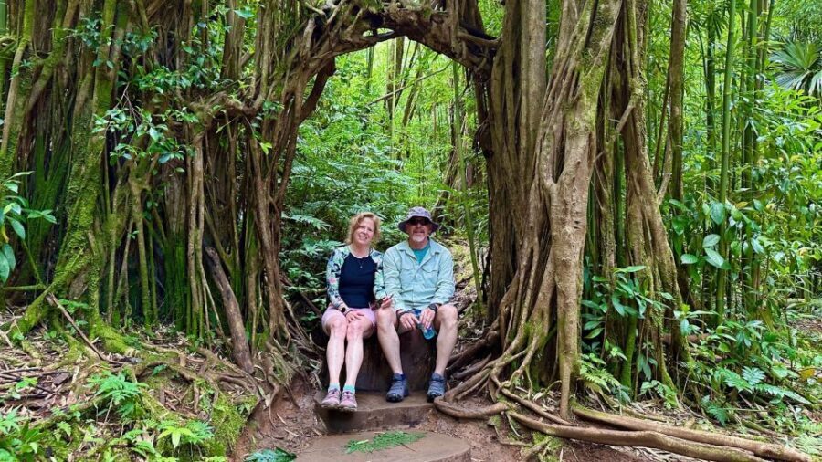 Manoa Falls eBike to Hike - Key things to know before you go
