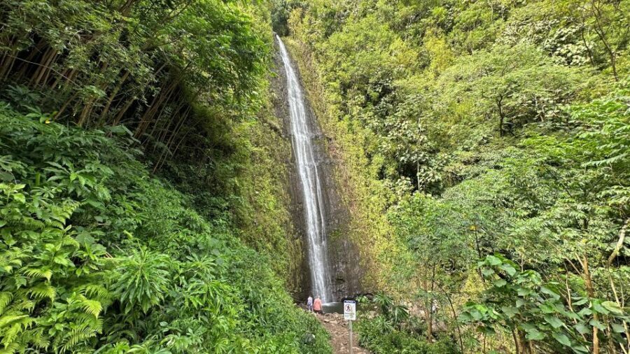 Manoa Falls eBike to Hike - From Waikiki to the start line: Kūhiō Beach Hula Show